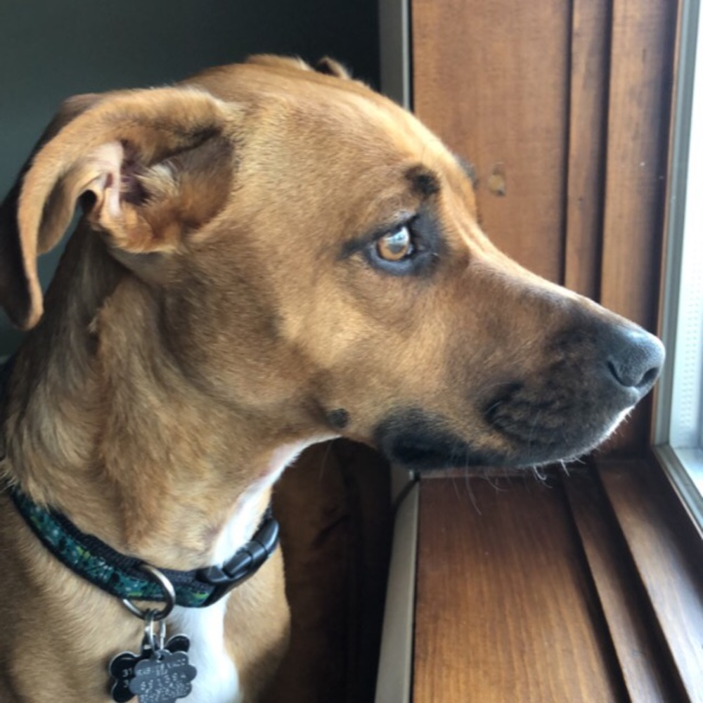 Meet your Posher, Will